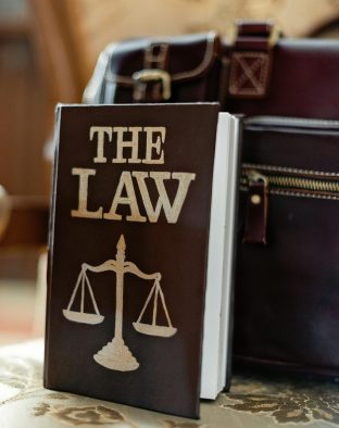 pexels-mikhail-nilov-8731031